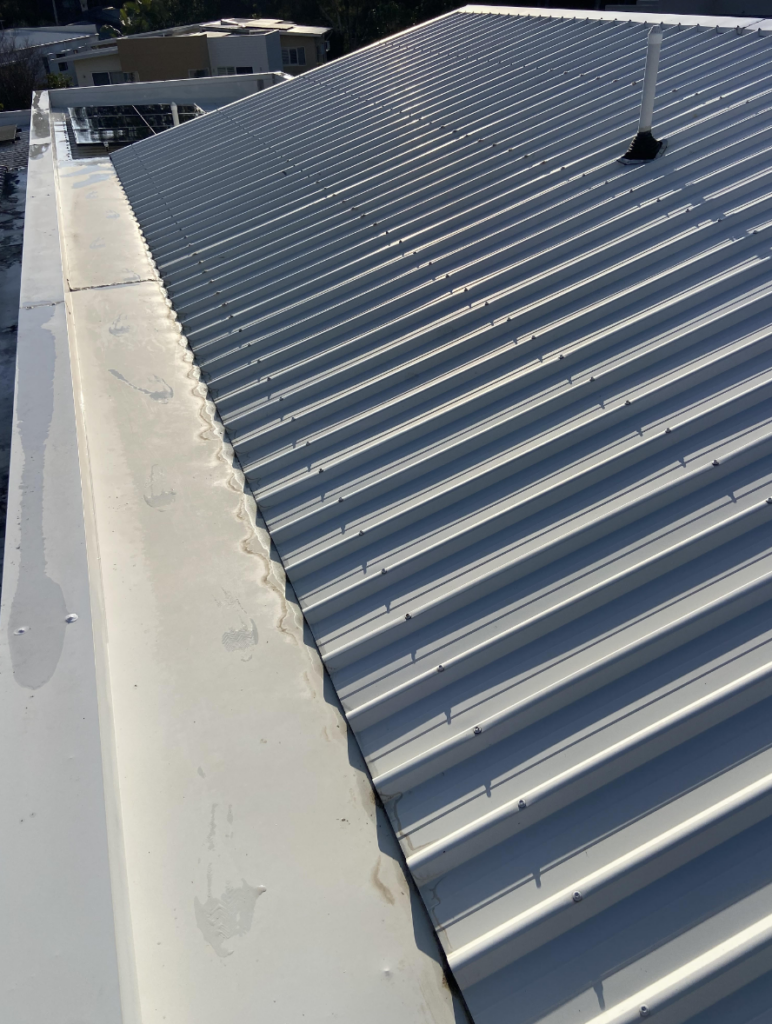 Bridgman Downs After Roof Cleaning